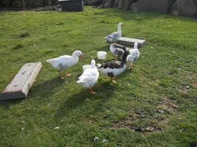 02_reykjavik_121.JPG