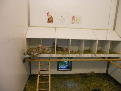 02_reykjavik_122.JPG