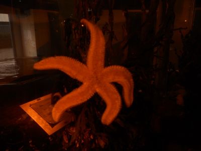 02_reykjavik_124.JPG