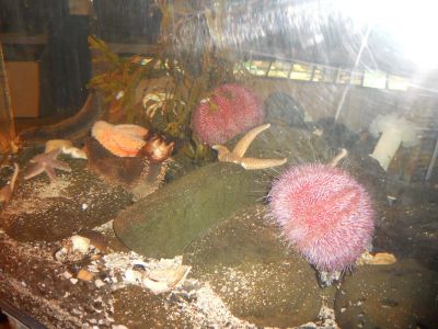 02_reykjavik_125.JPG