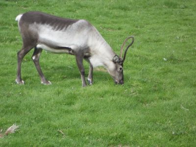 02_reykjavik_142.JPG