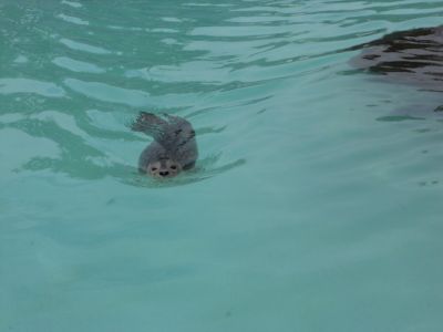 02_reykjavik_144.JPG