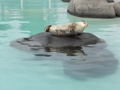 02_reykjavik_145.JPG