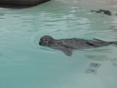 02_reykjavik_146.JPG