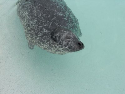 02_reykjavik_147.JPG