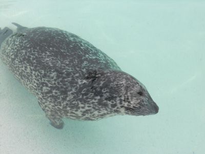 02_reykjavik_148.JPG