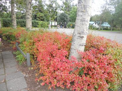 02_reykjavik_150.JPG
