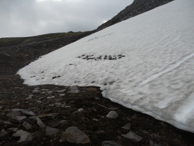 05_hellissandur_088.JPG