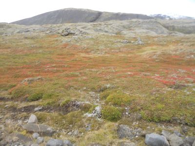 05_hellissandur_149.JPG
