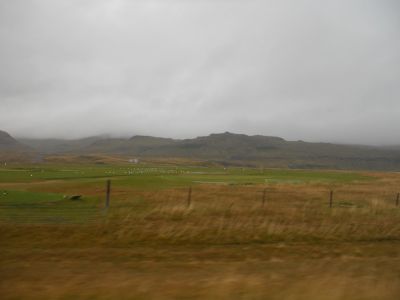 06_breidavik_006.JPG