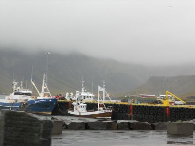 06_breidavik_027.JPG
