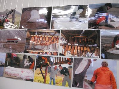 06_breidavik_053.JPG