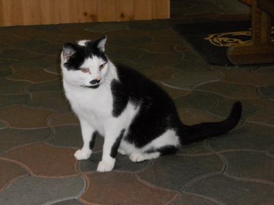06_breidavik_056.JPG