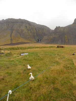 06_breidavik_072.JPG