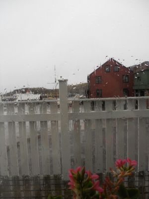 06_breidavik_097.JPG