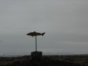 06_breidavik_040.JPG