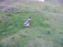 06_breidavik_069.JPG