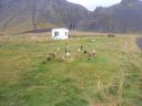 06_breidavik_070.JPG