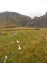 06_breidavik_072.JPG