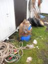 06_breidavik_077.JPG