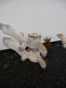 06_breidavik_079.JPG