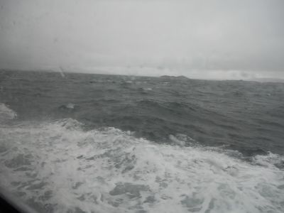 06_breidavik_147.JPG
