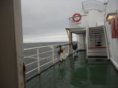 06_breidavik_153.JPG