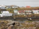 06_breidavik_118.JPG