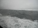 06_breidavik_147.JPG