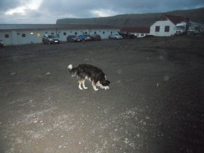06_breidavik_250.JPG