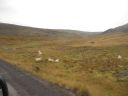 07_isafjordur_090.JPG