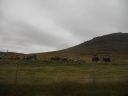 07_isafjordur_105.JPG