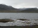 07_isafjordur_291.JPG