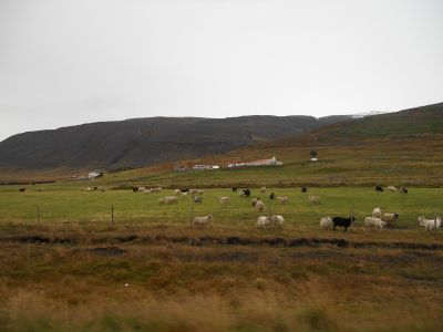 07_isafjordur_312.JPG