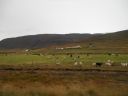 07_isafjordur_312.JPG