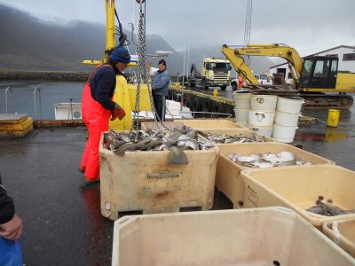 08_isafjordur_285.JPG