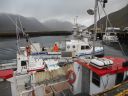 Nom du fichier=08_isafjordur_273.JPG
Taille du fichier=188Ko
Dimensions : 800x600
Ajouté le : 15 Septembre 2012 08_isafjordur_273.JPG