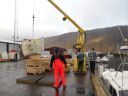 Nom du fichier=08_isafjordur_276.JPG
Taille du fichier=154Ko
Dimensions : 800x600
Ajouté le : 15 Septembre 2012 08_isafjordur_276.JPG