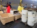 Nom du fichier=08_isafjordur_278.JPG
Taille du fichier=186Ko
Dimensions : 800x600
Ajouté le : 15 Septembre 2012 08_isafjordur_278.JPG