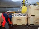 08_isafjordur_293.JPG