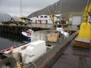 08_isafjordur_294.JPG