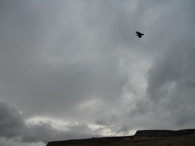 09_holmavik_012.JPG