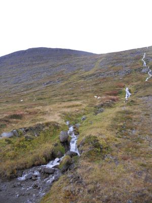 09_holmavik_044.JPG