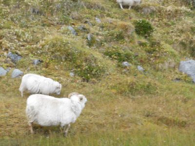 09_holmavik_059.JPG