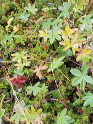 09_holmavik_075.JPG