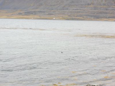 09_holmavik_090.JPG