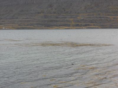 09_holmavik_091.JPG