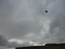 09_holmavik_012.JPG