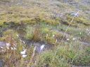 09_holmavik_045.JPG