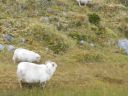 09_holmavik_059.JPG